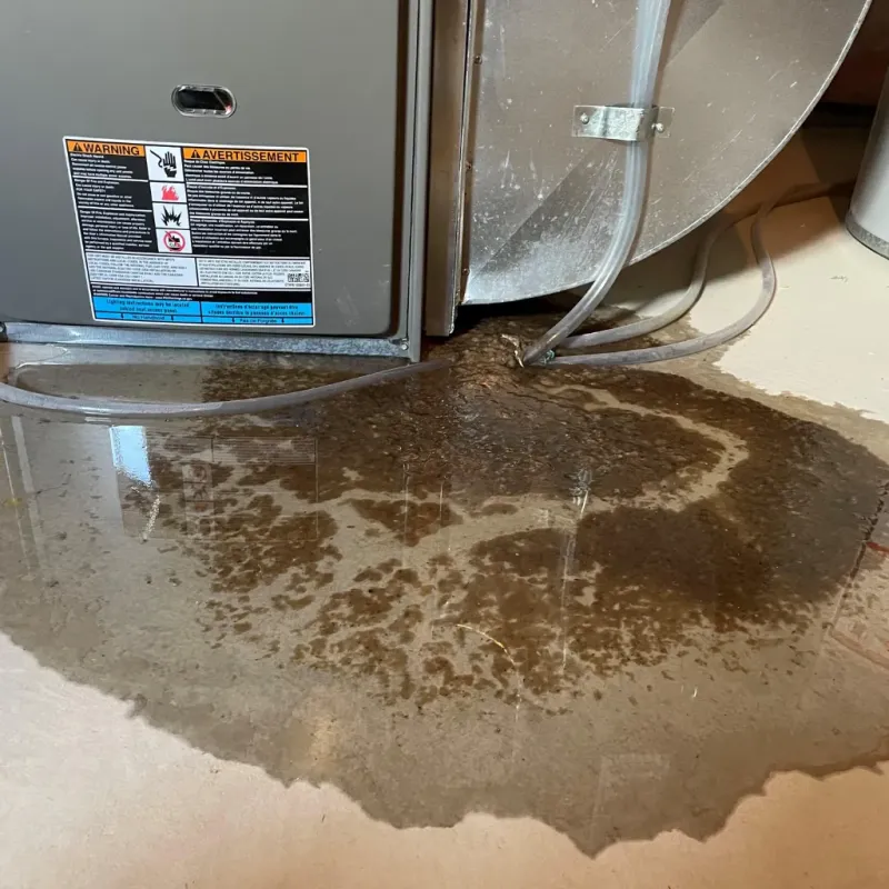 Appliance Leak Cleanup in Gas City, IN